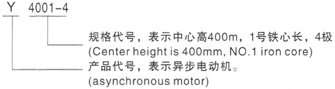 西安泰富西玛Y系列(H355-1000)高压YE2-200L2-2三相异步电机型号说明