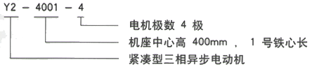 YR系列(H355-1000)高压YE2-200L2-2三相异步电机西安西玛电机型号说明